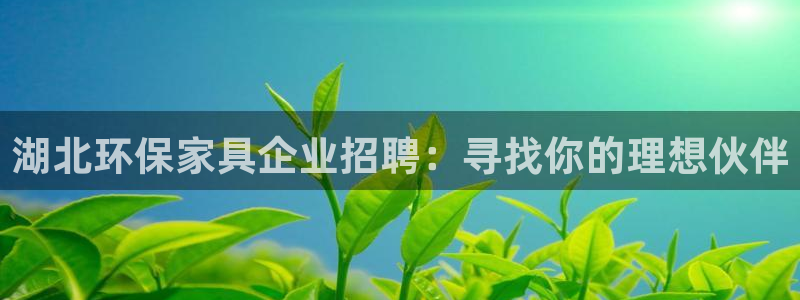 杏宇注冊(cè)網(wǎng)址：湖北環(huán)保家具企業(yè)招聘：尋找你的理想伙伴
