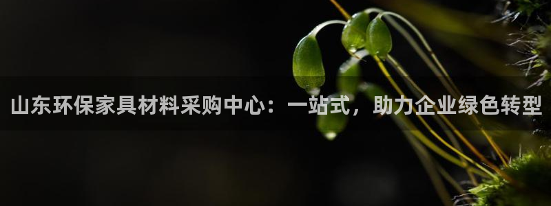 杏宇平臺(tái)到底能玩嗎：山東環(huán)保家具材料采購(gòu)中心：一站式，助力企