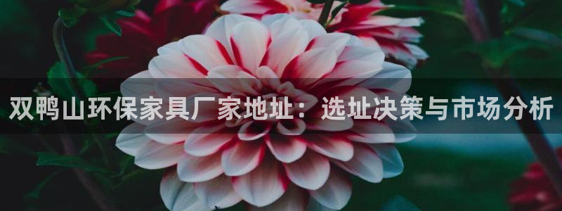 杏宇官網(wǎng)登陸