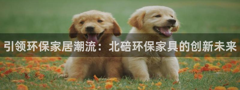 杏宇平臺(tái)手機(jī)登錄：引領(lǐng)環(huán)保家居潮流：北碚環(huán)保家具的創(chuàng)新未來(lái)