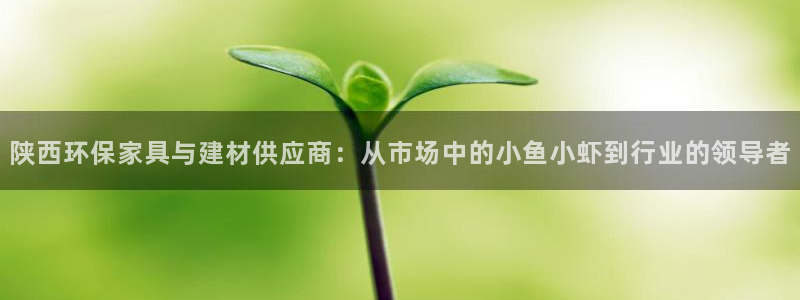 杏宇代理日工資多少：陜西環(huán)保家具與建材供應(yīng)商：從市場(chǎng)中的小魚(yú)