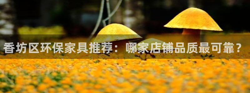 杏宇官網(wǎng)注冊(cè)：香坊區(qū)環(huán)保家具推薦：哪家店鋪品質(zhì)最可靠？