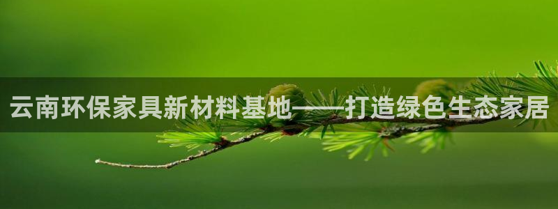 杏宇平臺已注冊入口